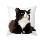 Black Cat Christmas Cushion Covers – 45x45cm Pillow Covers, Festive Cat Print Decorative Pillowcases for Sofa & Home Decor