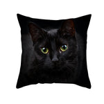 Black Cat Christmas Cushion Covers – 45x45cm Pillow Covers, Festive Cat Print Decorative Pillowcases for Sofa & Home Decor