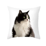 Black Cat Christmas Cushion Covers – 45x45cm Pillow Covers, Festive Cat Print Decorative Pillowcases for Sofa & Home Decor