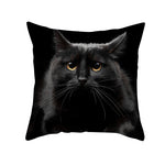 Black Cat Christmas Cushion Covers – 45x45cm Pillow Covers, Festive Cat Print Decorative Pillowcases for Sofa & Home Decor