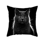 Black Cat Christmas Cushion Covers – 45x45cm Pillow Covers, Festive Cat Print Decorative Pillowcases for Sofa & Home Decor